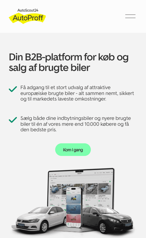 Screenshot of AutoProff B2B car trading platform